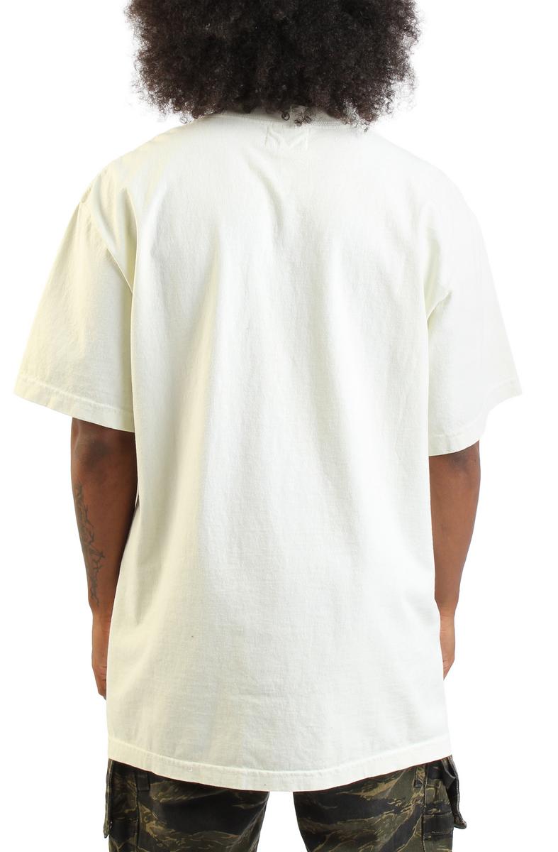 Bear T-Shirt  Image 3