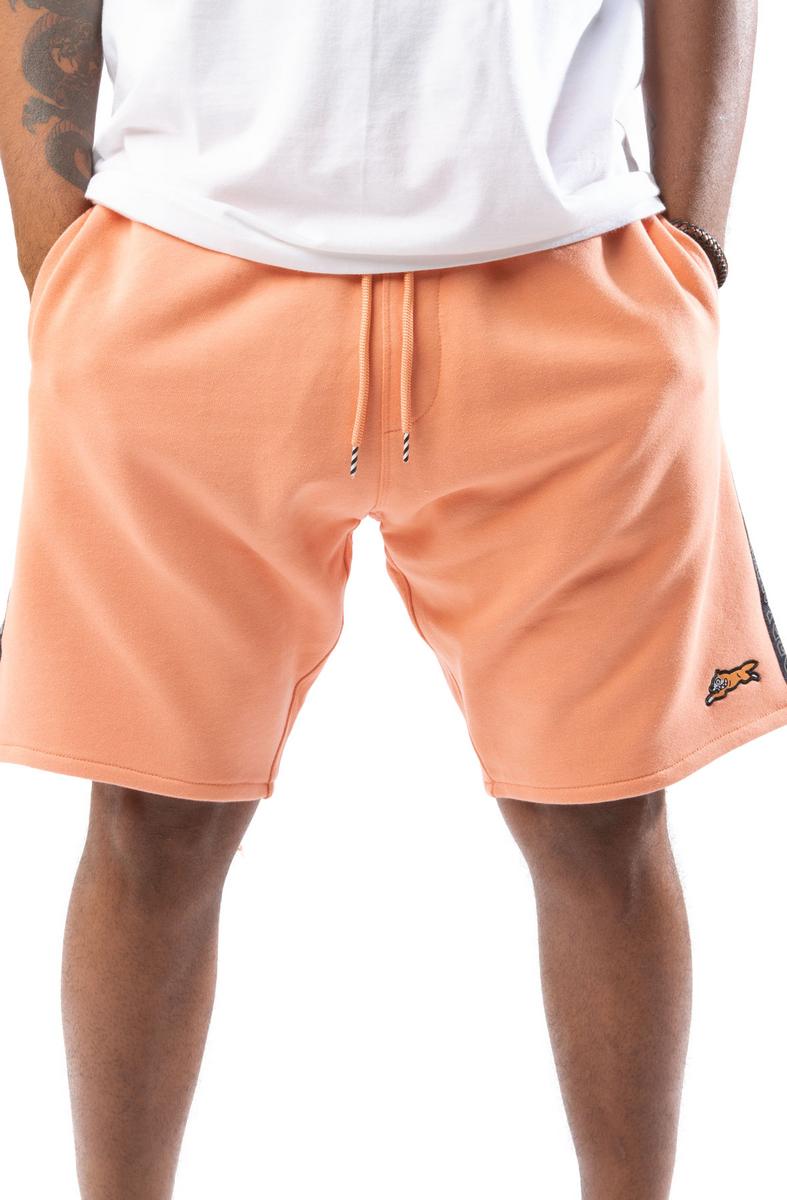 Reflective Shorts Image 1