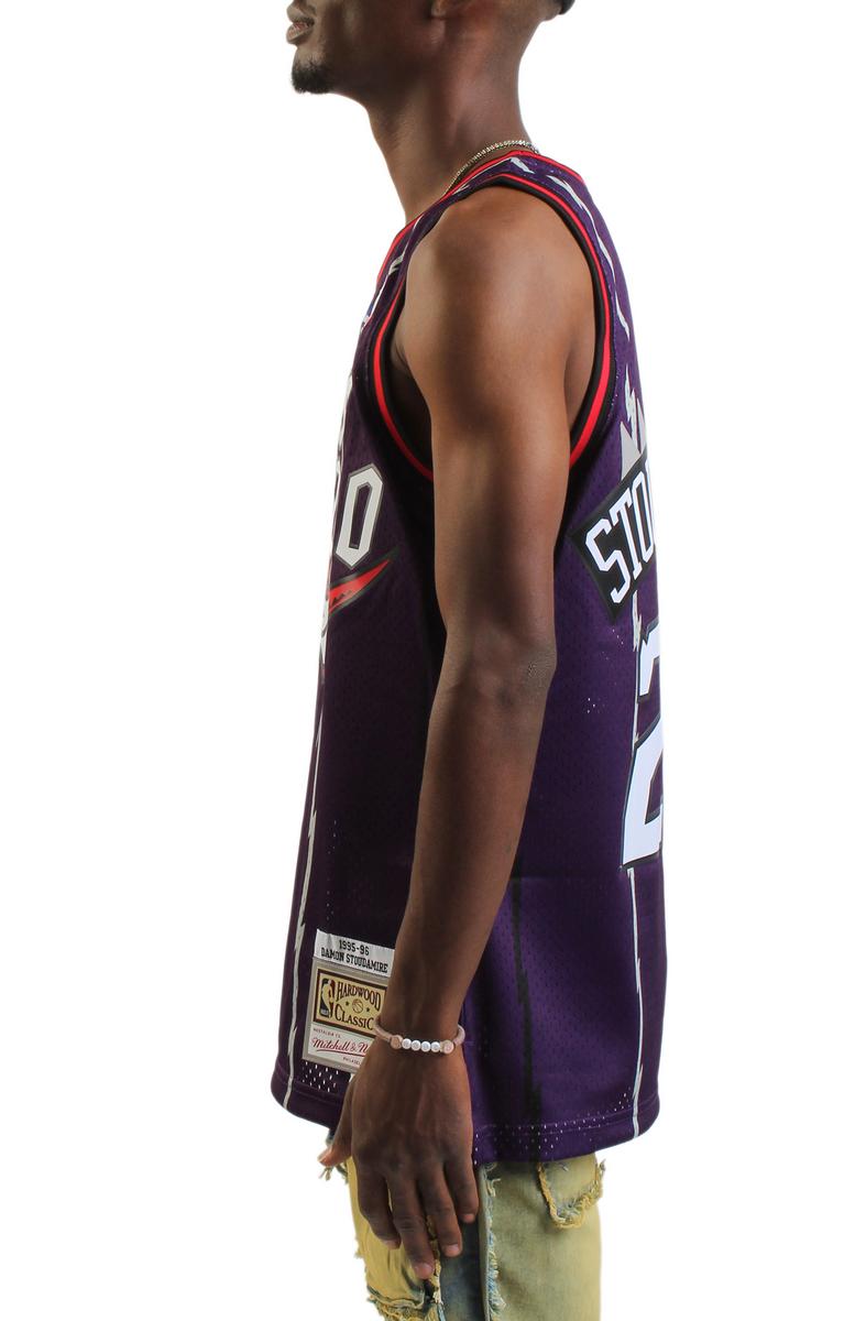 NBA Toronto Raptors Swingman Damon Stoudamire Damon Stoudamire Jersey Image 2