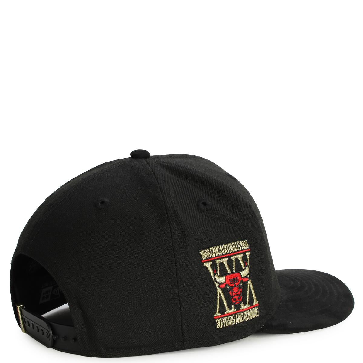 NBA Chicago Bulls 9Fifty Snapback  Image 3