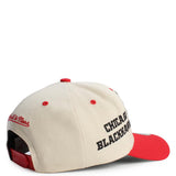 NHL Chicago Blackhawks Pro Crown Snapback  Image 5