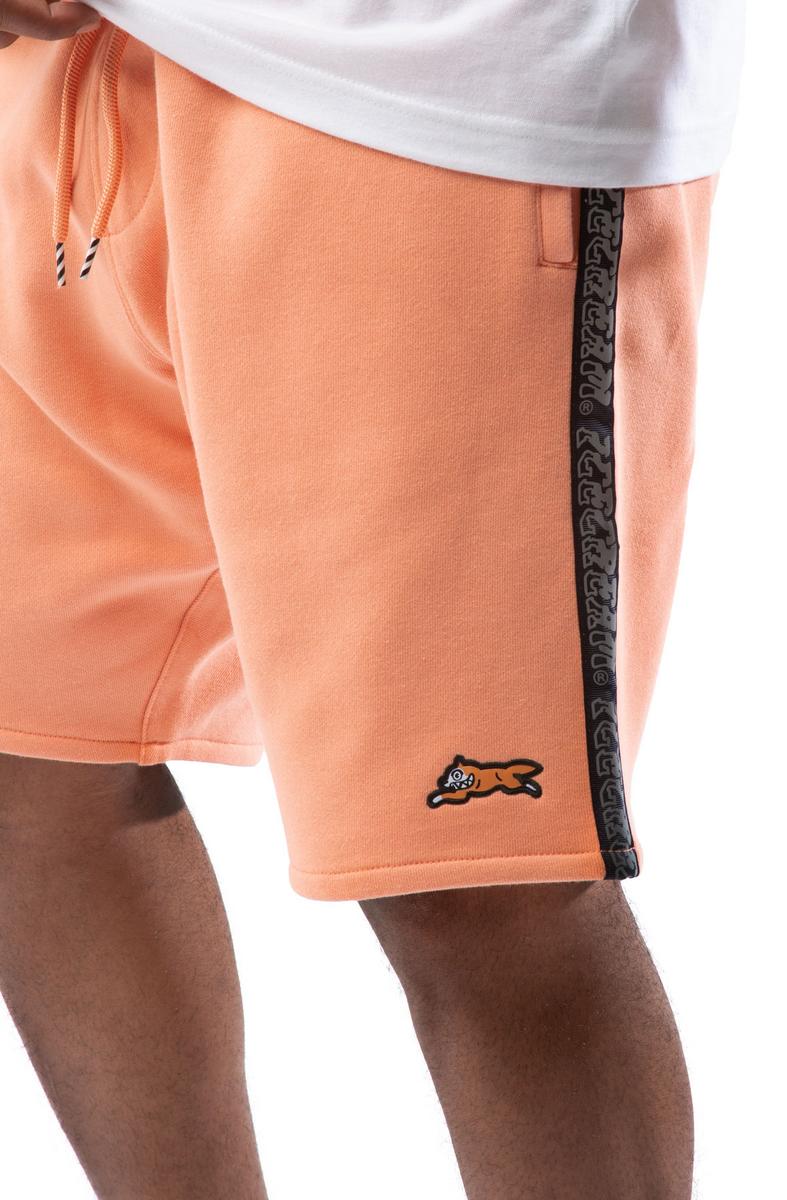 Reflective Shorts Image 5