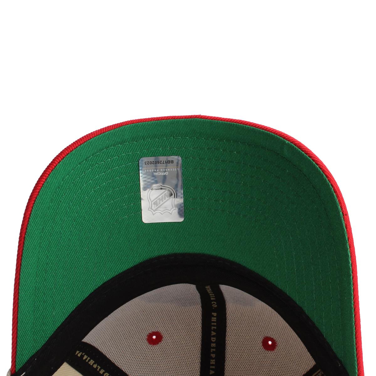 NHL Chicago Blackhawks Pro Crown Snapback  Image 7