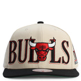 NBA Chicago Bulls Across the Board Snapback Image 1