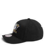 NHL Anaheim Ducks Pro Crown Fit Snapback  Image 2