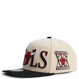 NBA Chicago Bulls Across the Board Snapback Image 2