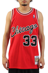NBA Chicago Bulls Scottie Pippen Jersey  Image 1