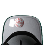 NHL Anaheim Ducks Arch Logo  Image 5